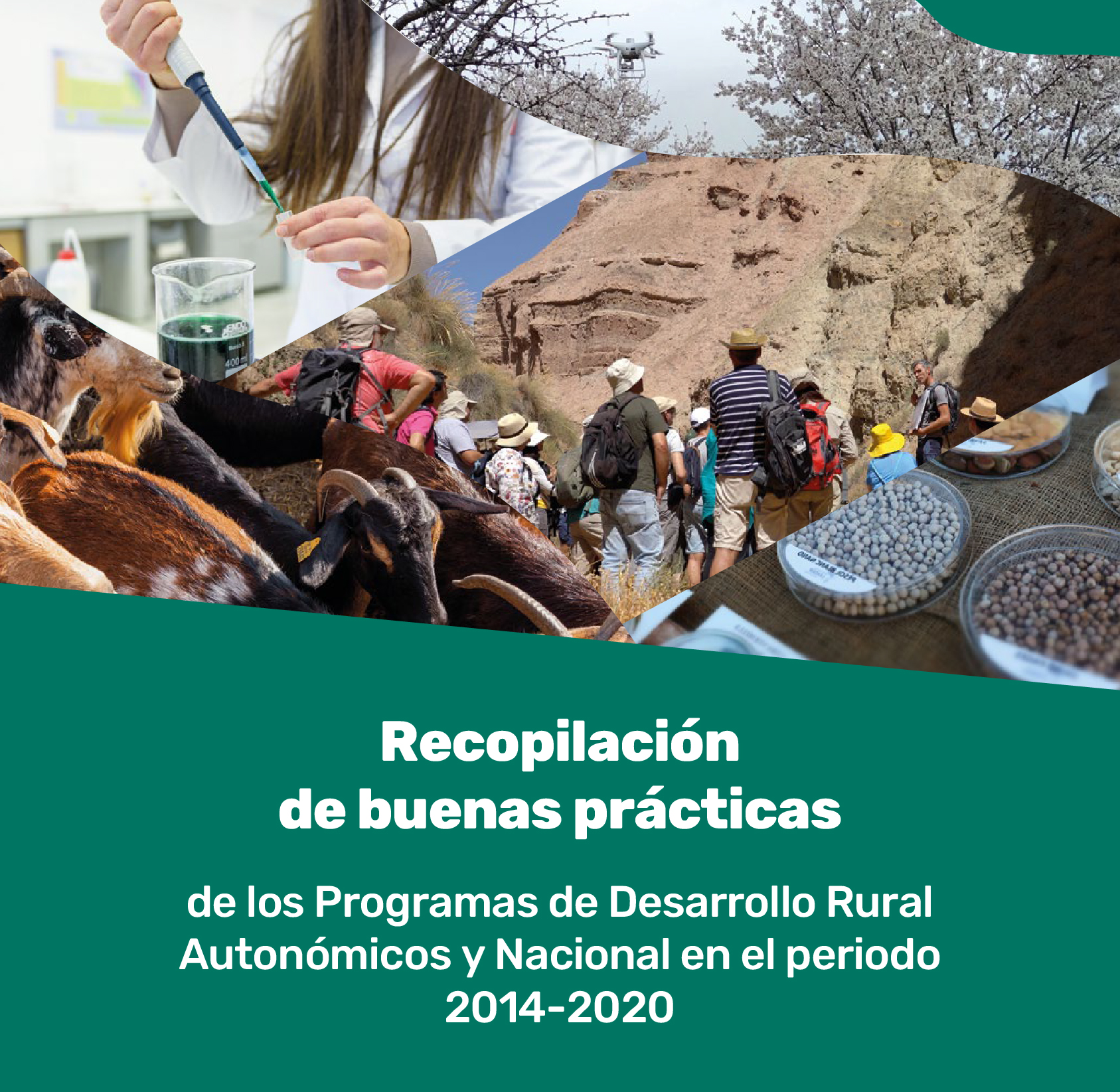 catedra-agrobank-uclm-recopilacion-buenas costumbres