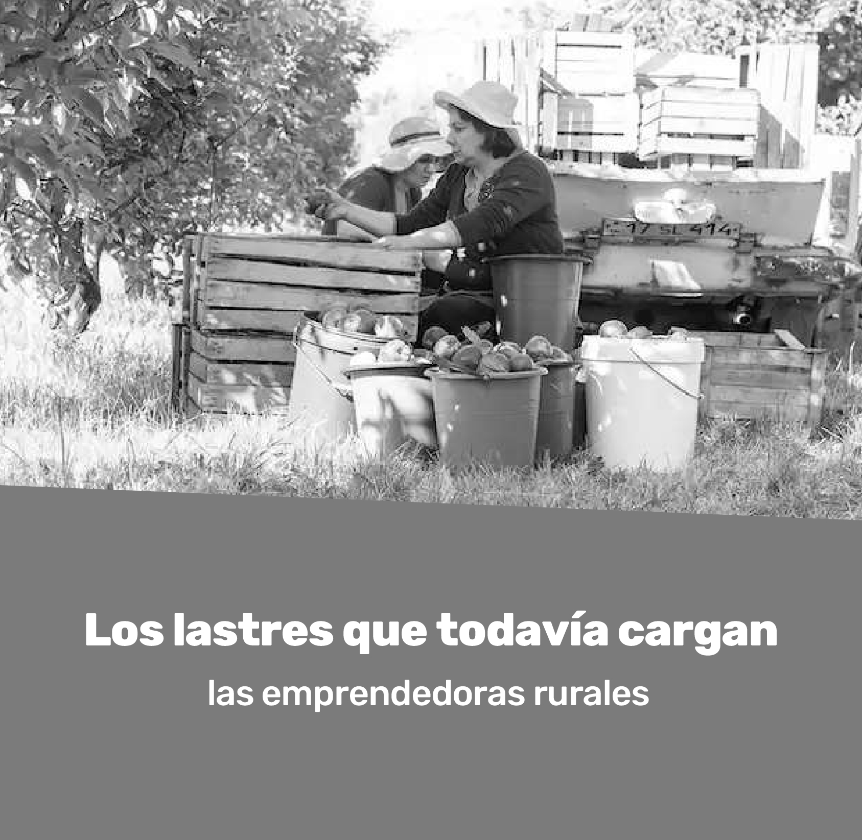 catedra-agrobank-uclm-recopilacion-lastres-emprendedoras-rurales