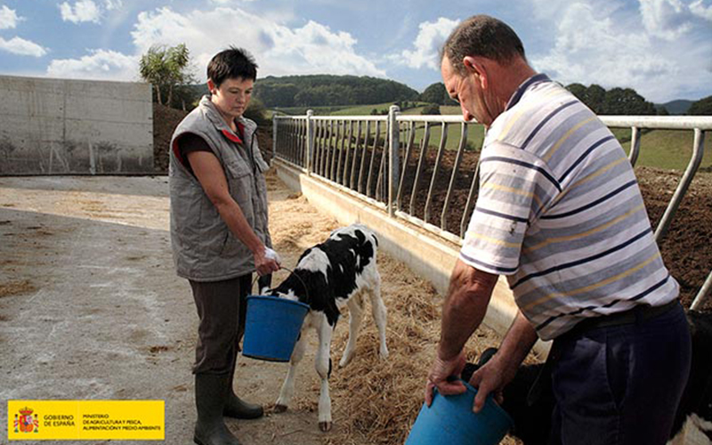 titularidad-compartida