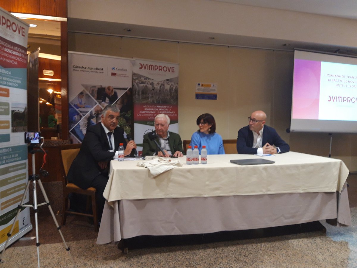 7 Mesa inaugural Ovimprove